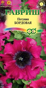 Петуния Бордовая 7шт ГШ цв/п