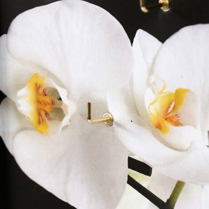 Ключница открытая "Орхидея"  5 крючков,  23х32 см