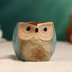 Горшок для цветов «Сова Ава» керамический, 150 мл, 6x6x6.5 см, МИКС