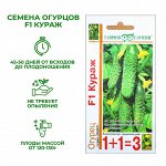 Семена Огурец &quot;Кураж&quot;,  F1,  серия 1+1, 20 шт