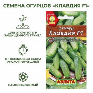 Семена Огурец "Клавдия F1", раннеспелый, партенокарпический, 10 шт
