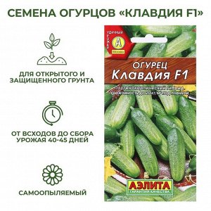Семена Огурец "Клавдия F1", раннеспелый, партенокарпическии, 10 шт