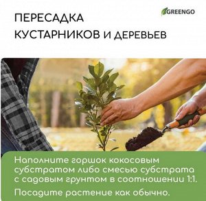 Кокосовые Чипсы 5лит Greengo