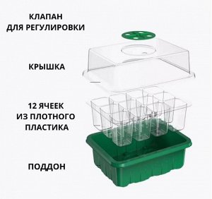 Мини-парник для выращивания рассады