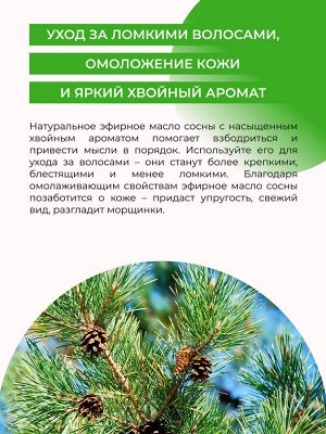 Эфирное масло сосны
