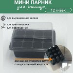 Мини-парник для выращивания рассады