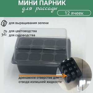 Мини-парник для выращивания рассады