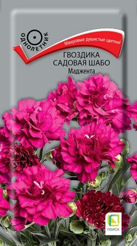 Гвоздика садовая Шабо Маджента (ЦВ ) ("1) 0,1гр.