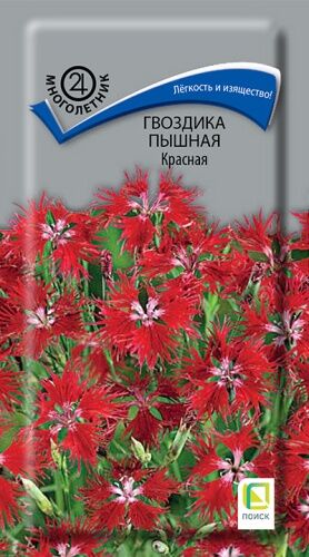 Гвоздика пышная Красная (ЦВ) ("М) 0,1гр.
