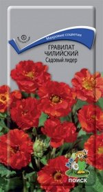 Гравилат чилийский &quot;Садовый лидер&quot;