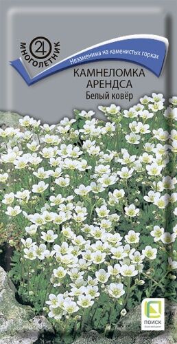 Камнеломка Арендса Белый ковёр (ЦВ) ("М) 0,01гр.