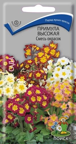 Примула высокая Смесь окрасок (ЦВ) ("М) 0,01гр.