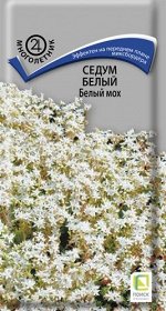 Седум белый &quot;Белый мох&quot;