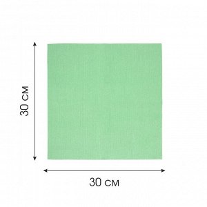 Салфетка Грин Профи 30*30см