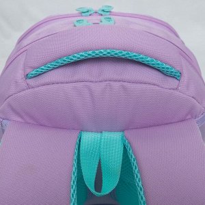 Рюкзак школьный с карманом для ноутбука 13", анатомической спинкой, для девочки