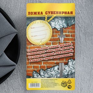 Ложка чайная с гравировкой «Реальный пацан», на подарочной открытке, 3x14 см