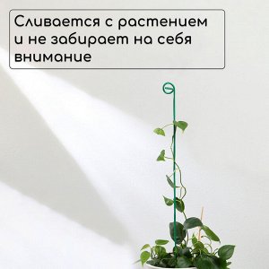 Колышек для подвязки растений, h = 60 см, d = 0.3 см, проволочный, зелёный, Greengo