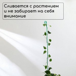 Колышек для подвязки растений, h = 100 см, d = 0.3 см, проволочный, зелёный, Greengo