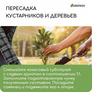 Субстрат кокосовый, универсальный, для террариумов и растений, в брикете, 65 л, 30% чипсы и 70% торф, Greengo