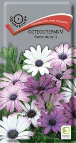 Остеоспермум Смесь окрасок (ЦВ) (&quot;1) 0,1гр.