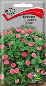 Цинния лиллипут Розовая (ЦВ) (&quot;1) 0,4гр.