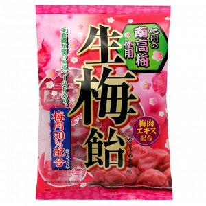 RIBON«Nama Ume Candy» Карамель леденцовая со вкусом японской сливы с начинкой,65 гр.
