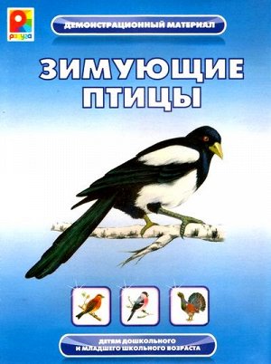 С-764 Демонстрационный материал "Зимующие птицы"