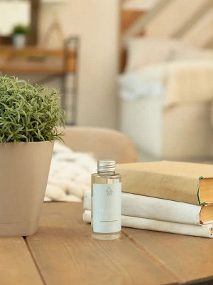 Наполнитель для ароматического диффузора Hygge #21 "Остров Борнео" 100 мл