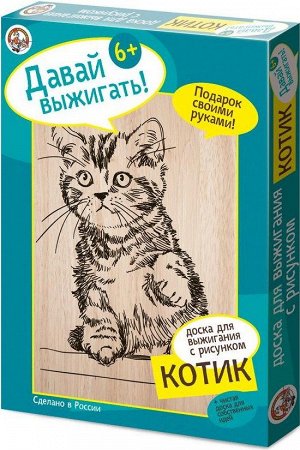 01569 Рисунок для выжигания.Котик