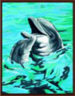 GX6161 Дельфины.Роспись по холсту(картина по номерам 40*5