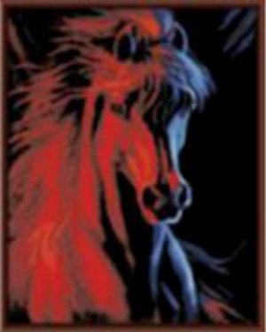 GX6048 Лошадь.Роспись по холсту(картина по номерам 40*50с