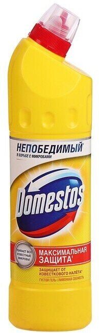 Domestos Чистящее средство для унитаза  750мл Лимонная свежесть /12