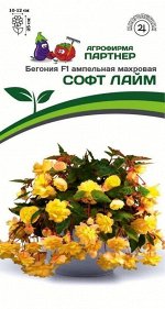 Семена Бегония F1 клубневая ампельная махровая СОФТ ЛАЙМ ^(5шт в амп)
