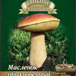 Мицелий грибов