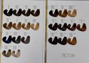 HAIR COMPANY Краска для волос PICTURA Coloring Soft Cream  6.66 COVER 100ml Мягкая крем-краска Тёмно-русый интенсивно-красны
