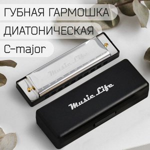 СИМА-ЛЕНД Губная гармошка Music Life, диатоническая, C-major, с футляром, серебристая