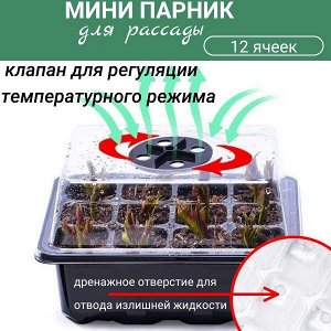 Мини-парник для выращивания рассады
