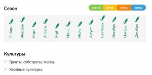 Хвойные 10 л Волшебная грядка Буй, грунт для хвойных растений