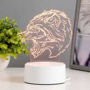 Светильник "Оборотень" LED RGB от сети 14,3х9,5х14,3 см RISALUX