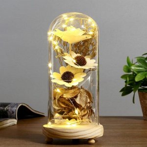 Фигурка светящаяся колба RISALUX «Букетик», LED-ночник, 3xААА, 22.5x9.5x11 см