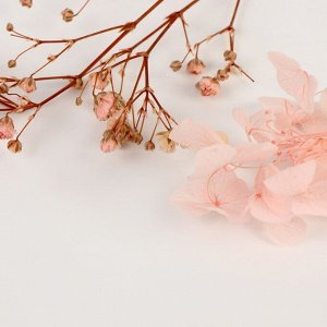 Набор сухоцветов «Розовое облако»