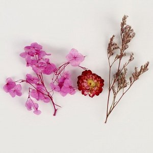 Набор сухоцветов «Сиреневая дымка»