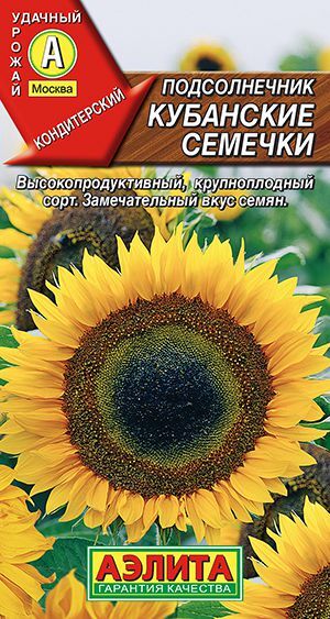 Подсолнечник Кубанские семечки