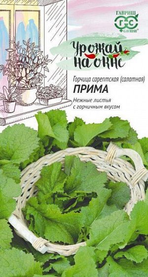 Горчица салатная Прима
