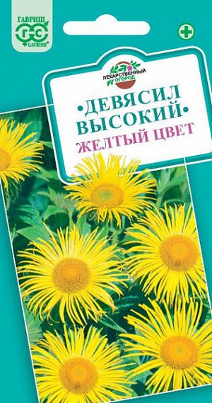 Девясил высокий Желтый цвет