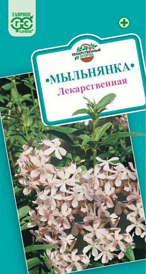 Мыльнянка Лекарственная