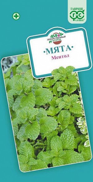Мята Ментол