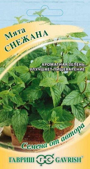Мята Снежана