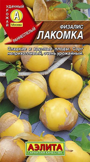 Физалис Лакомка