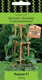 Огурец Подарок F1